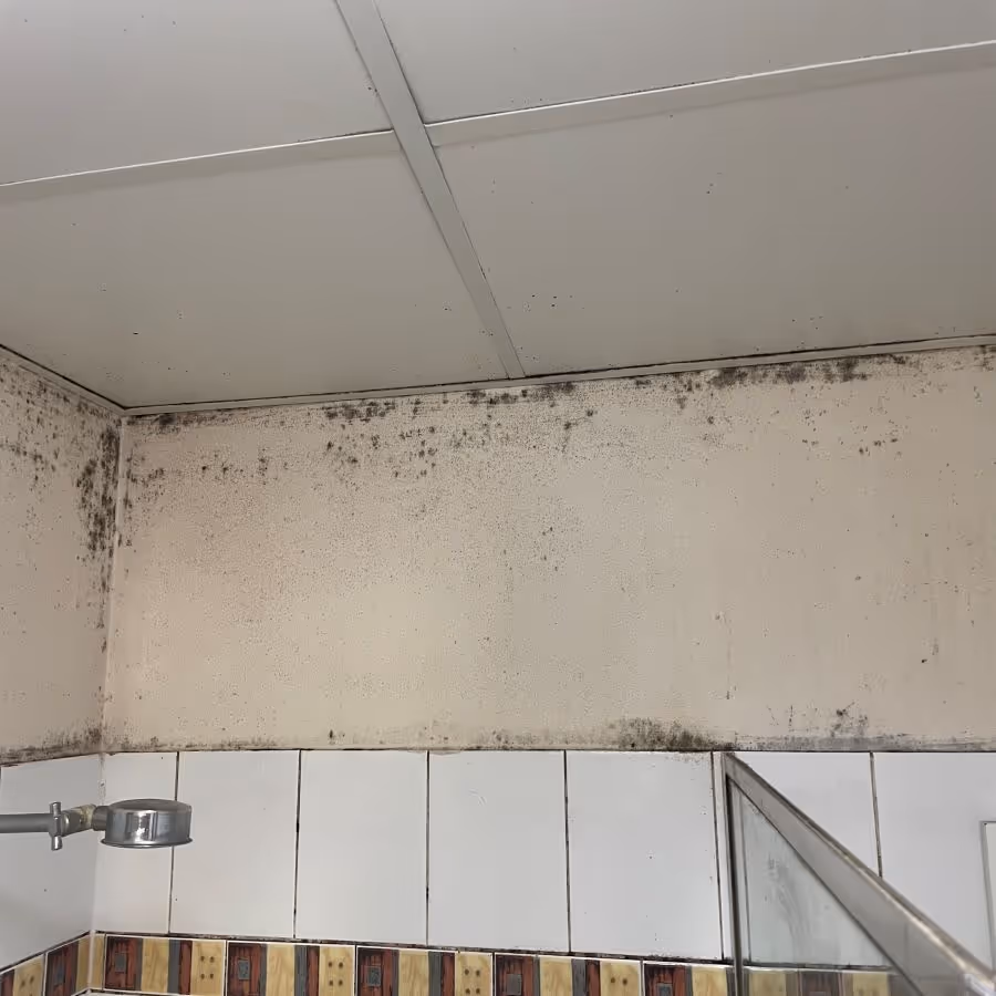 Baulkham Hills mold removal required to a bedroom ceiling