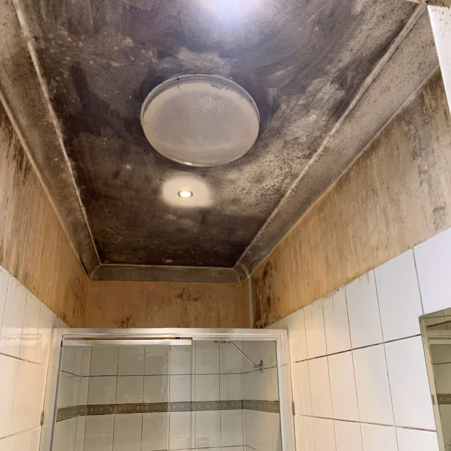 Castle Hill mold removal required to a bathroom ceiling