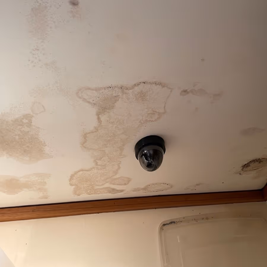 Rouse Hill mold removal required to a ceiling