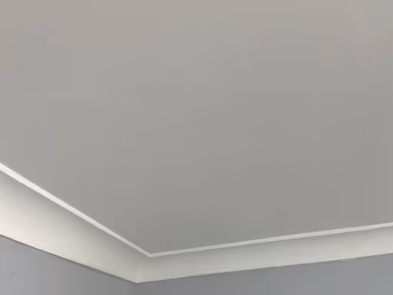 mould removal completed to ceiling