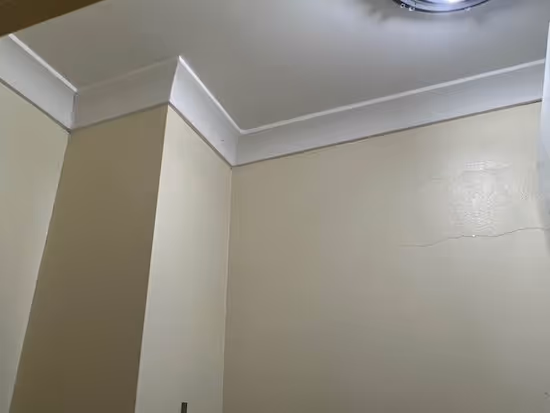 Mould removal completed within a wardrobe