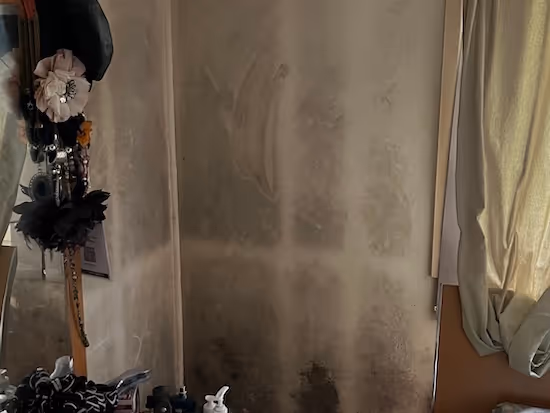 mould spread across a bedroom wall