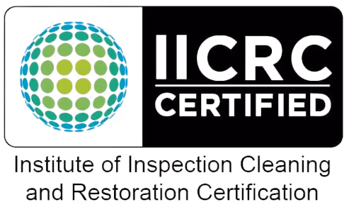 mould growth spread across ceiling from