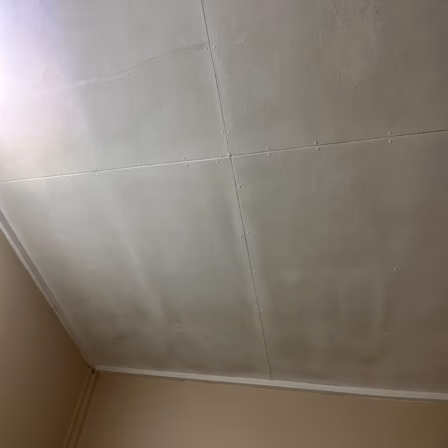 mold growth across ceilings in a house in Camp Hill