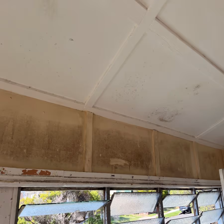 Black mould growth on walls of a home in Wynnum, Queensland