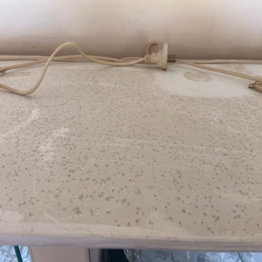 A residential wardrobe shelf with mould growth in Helensvale, Queensland