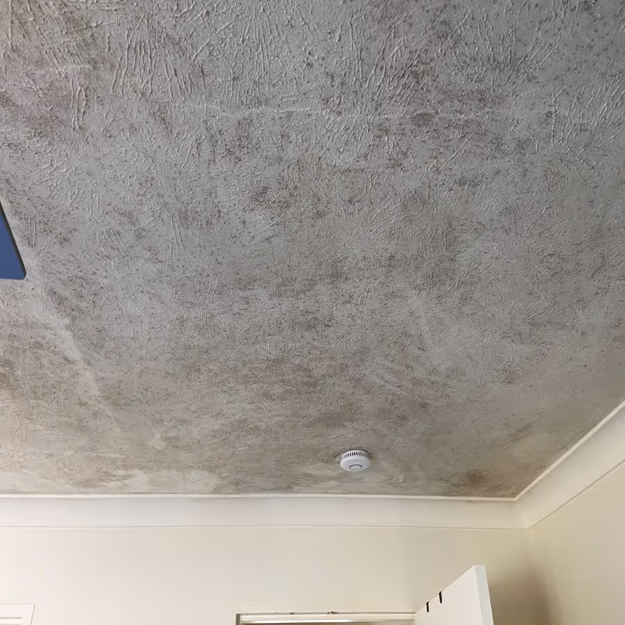 Black mould covering a bedroom ceiling in Southport, Queensland