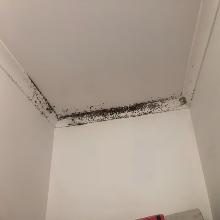 a bathroom in Maroochudoore, Queensland with mould growth