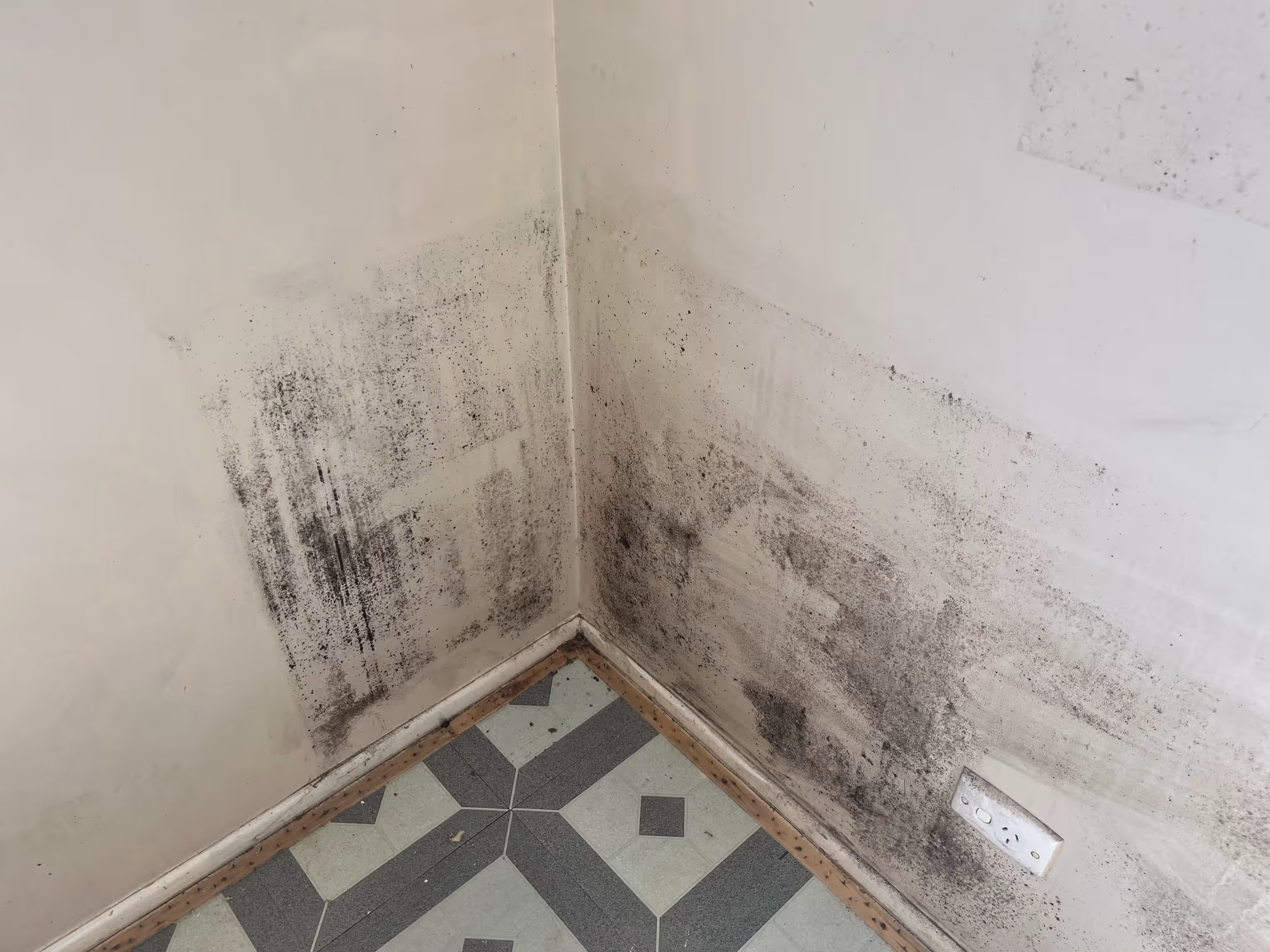 mould growing in a corner of a wall in Caboolture, Queensland