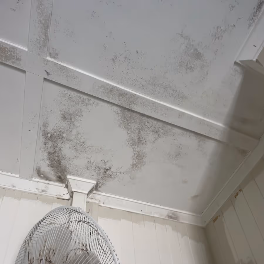 Mould growing on ceilings in Redcliffe, Queensland