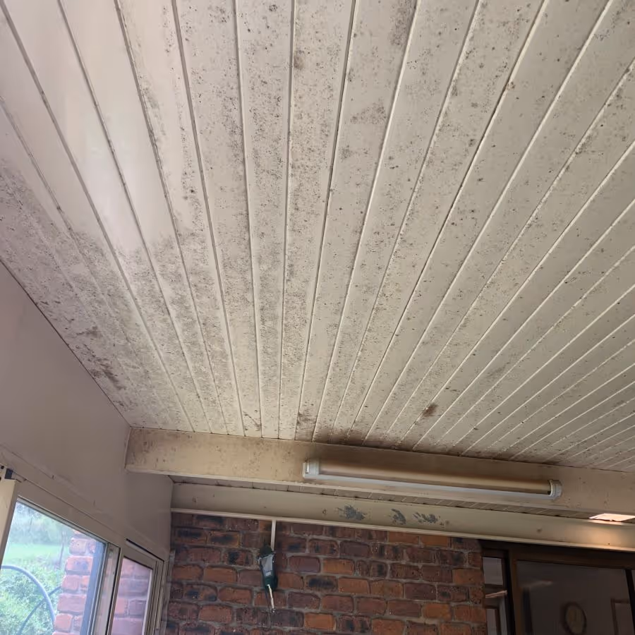 Mould growth on a ceiling needing professional removal in Redland Bay, Queensland