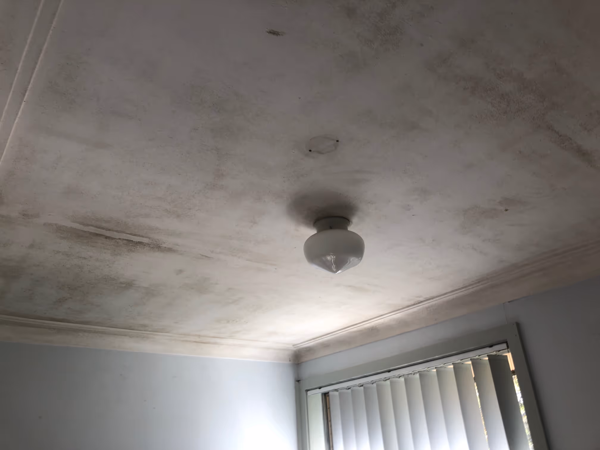Mould growing around the light on the ceiling in Melton, Melbourne