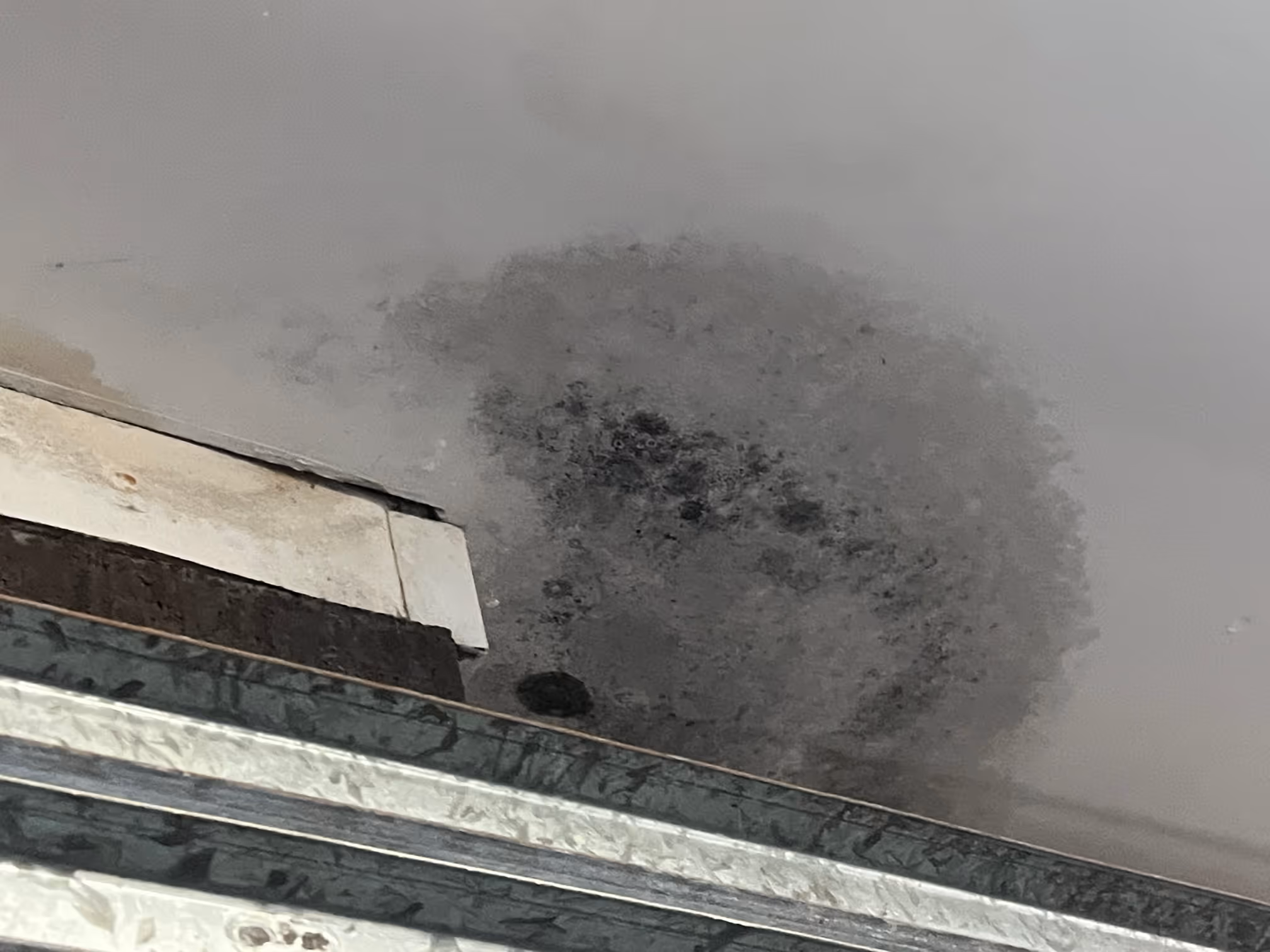 Mould spread over ceilings and walls in Caulfield, Melbourne