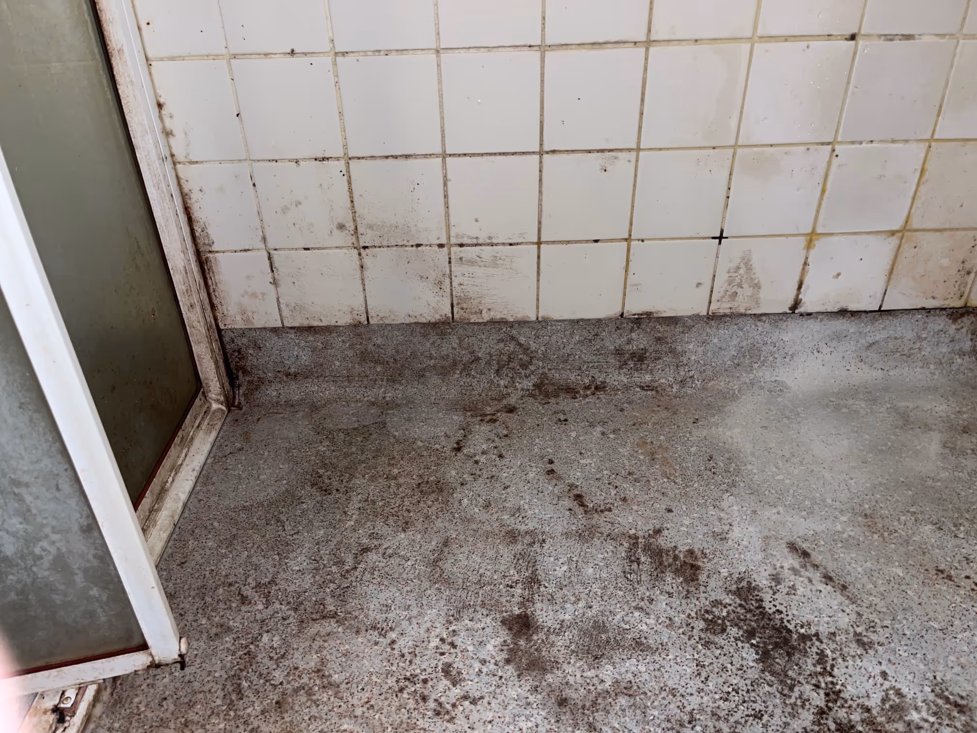 Mould spread over the wall and tiles in Chadstone, Melbourne