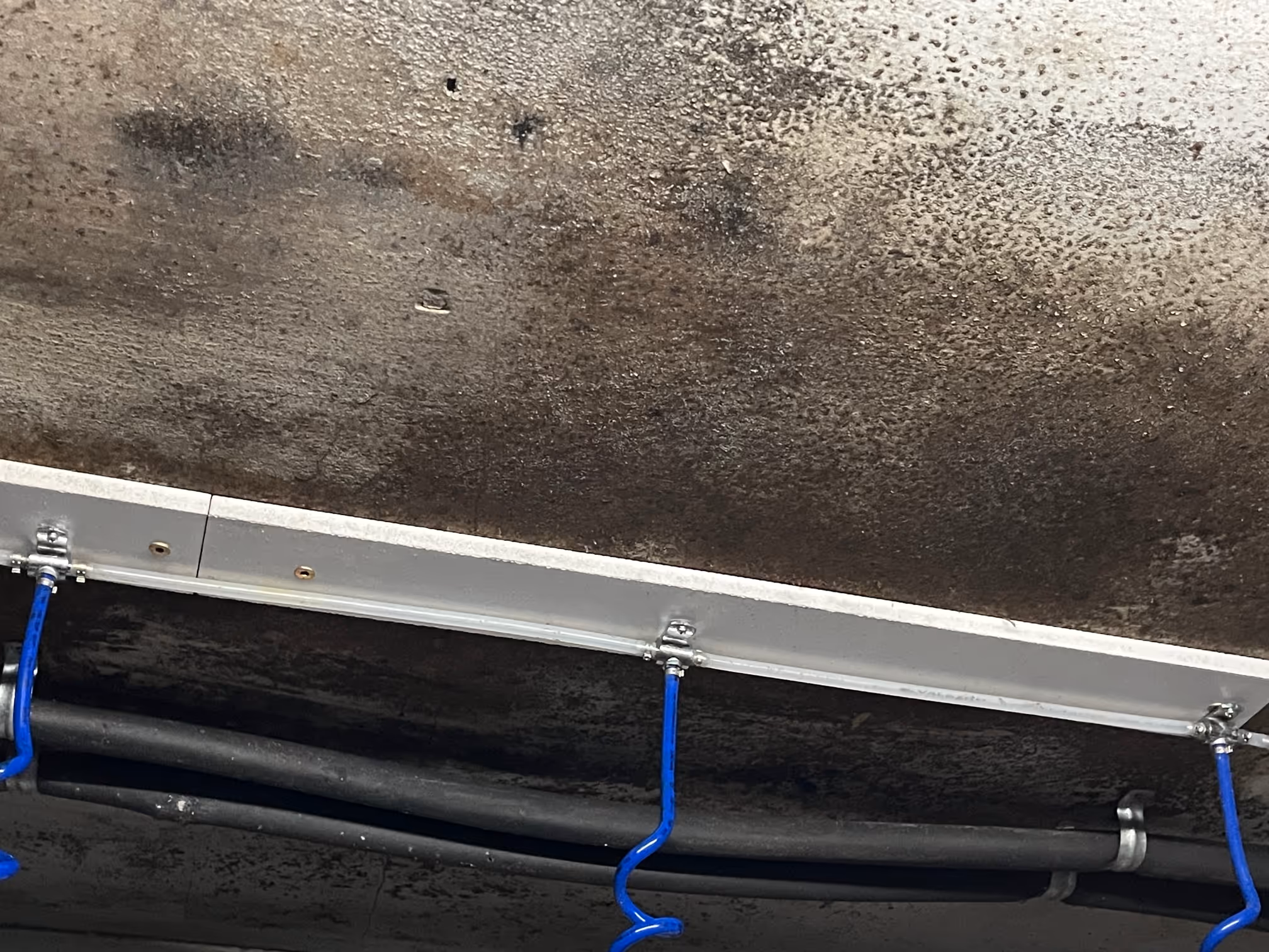 Mould spread over ceilings of the garage in Dandenong, Melbourne