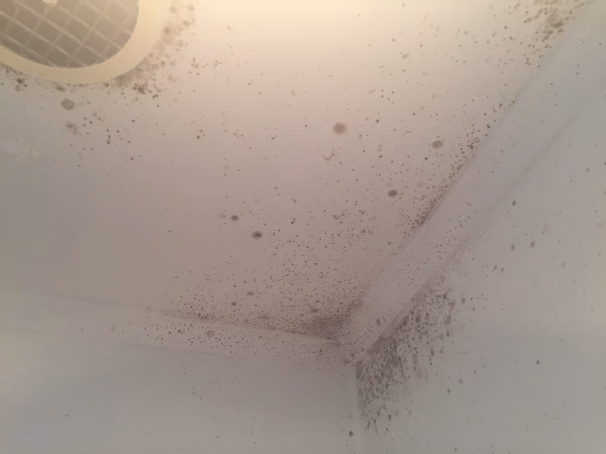 Mould spread over ceilings in Taylor's Lake, Melbourne