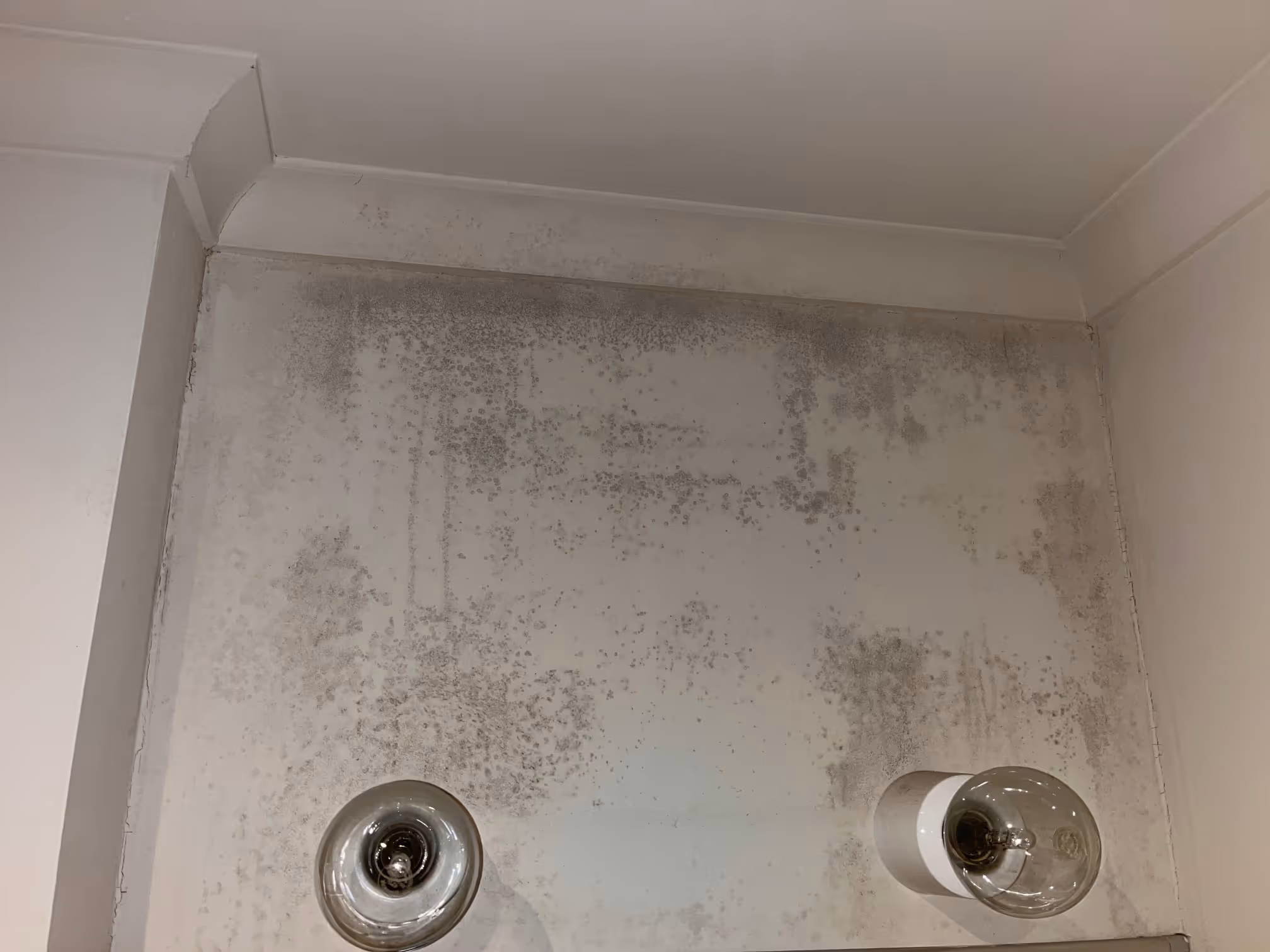 Mould spread over walls in St Kilda, Melbourne