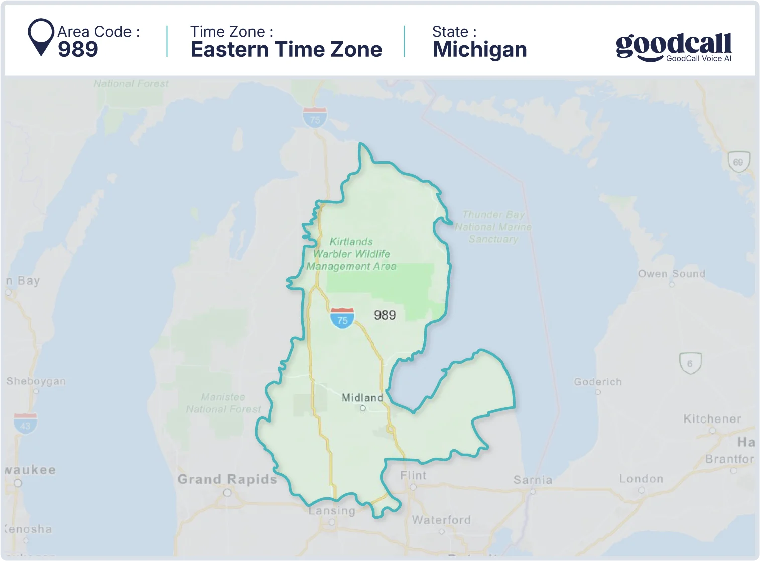 989 area code map showing Michigan, Saginaw, Midland, and Bay City