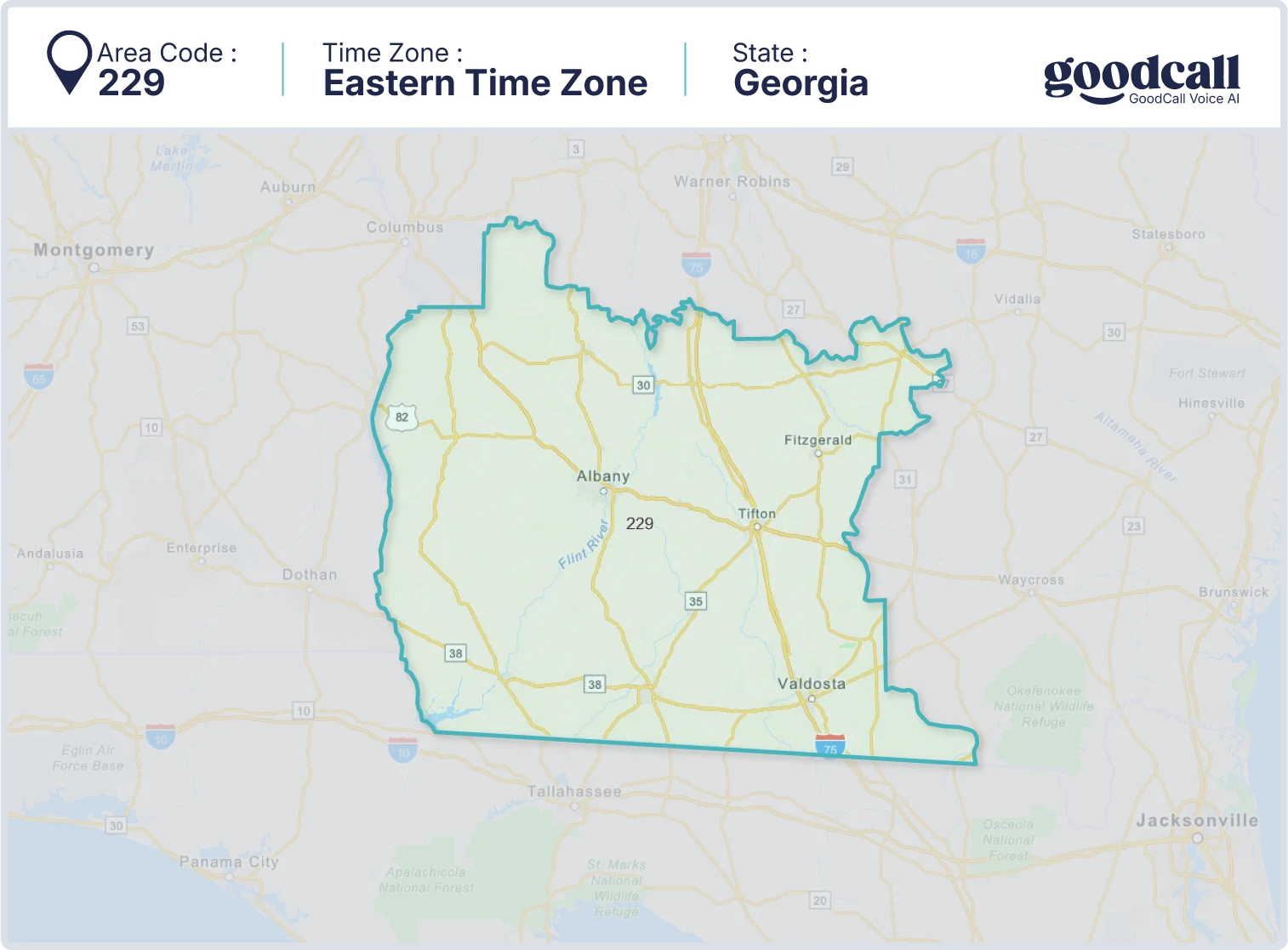 229 area code map showing Georgia, Albany, Tifton and Valdosta
