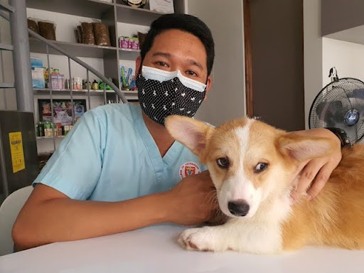 Best AI Answering Services for Veterinary Clinics