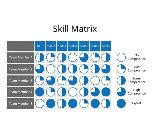 Competency Framework Development