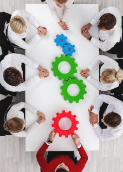 Organizational Development Consulting