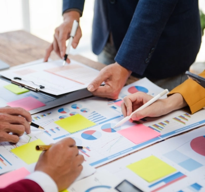 Performance Support Strategy and Needs Assessment