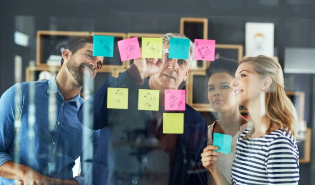 Competency Framework Development