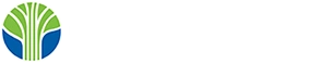 Learning Tree