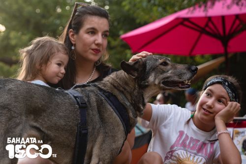 Млада жена и две деца са клекнали до голямо сиво куче. Едното дете гали кучето по главата.