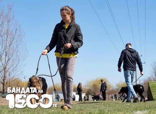 Кучето Сури по време на разходка с доброволци в приюта/