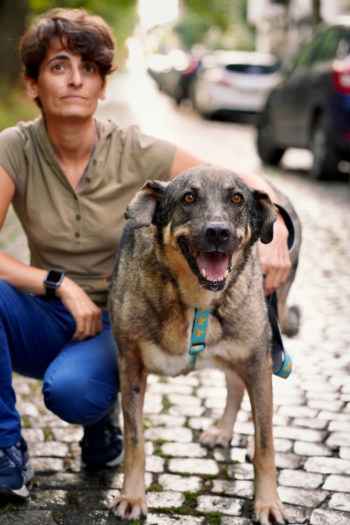 Снимка: Вера Гоцева - Lomovera