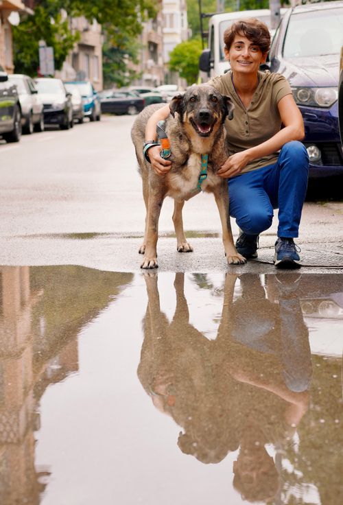 Снимка: Вера Гоцева - Lomovera