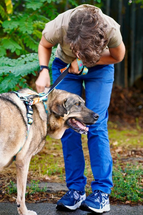 Снимка: Вера Гоцева - Lomovera