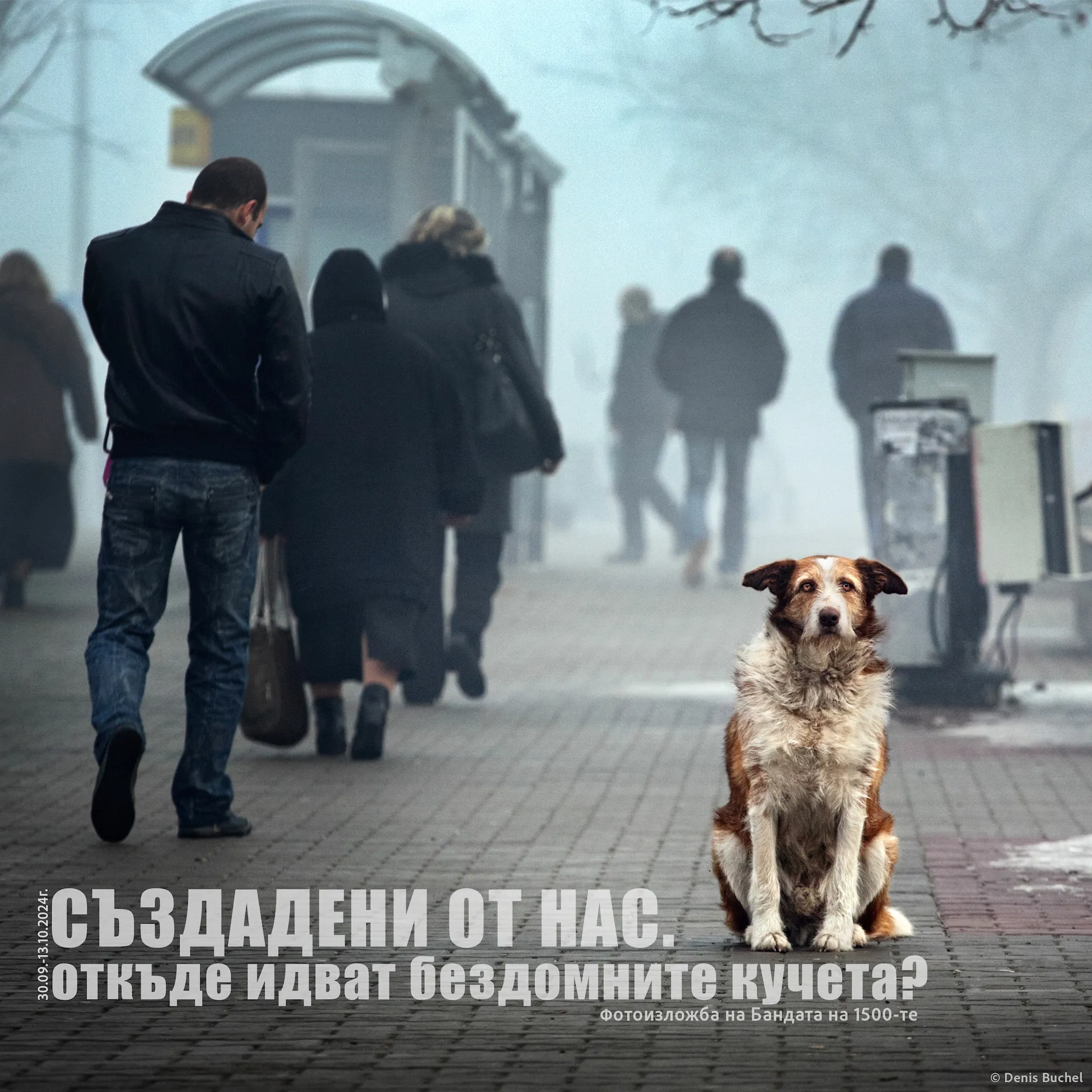 Корица на изложба. Автобусна спирка в мъглата, хора в гръб чакат прави. Жълто-бяло куче е седнало на тротоара и гледа към камерата.