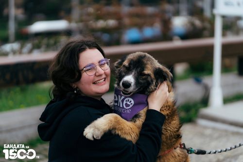Момиче в черен суичър прегъща светло-кафяво младо куче с бяла муцунка на Моста на Влюбените до НДК в София.