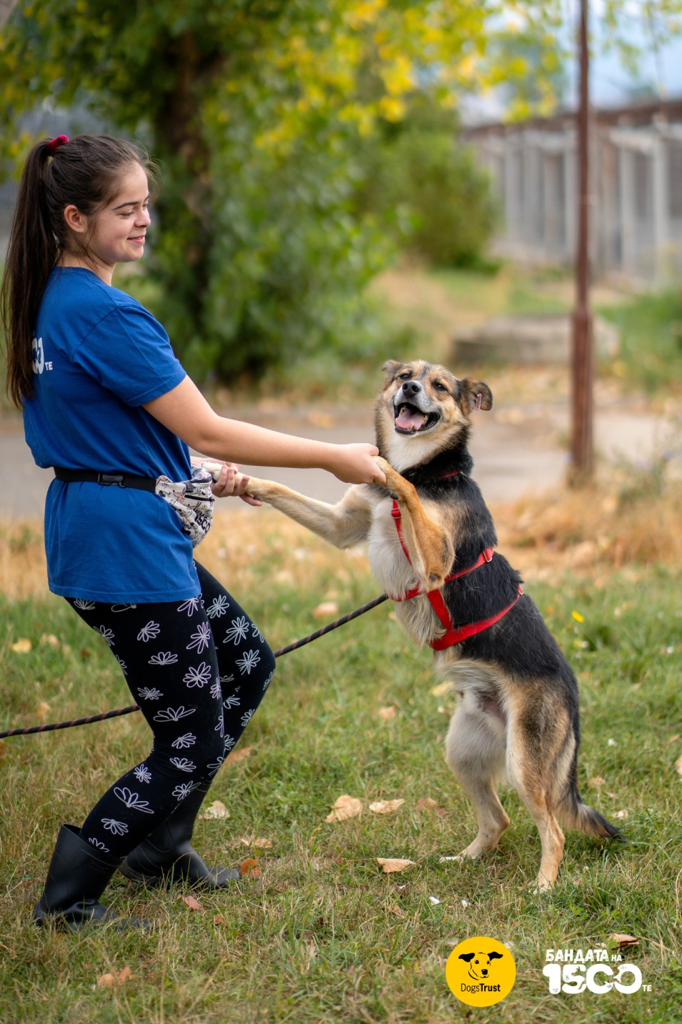 момиче гали бежово куче на поляна
