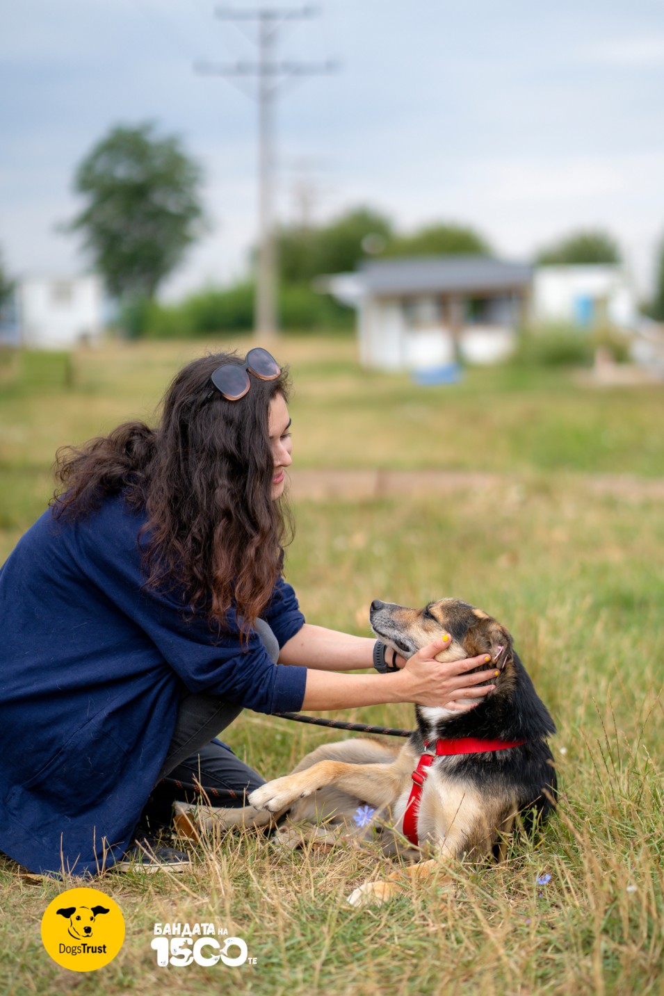 момиче гали бежово куче сред полето