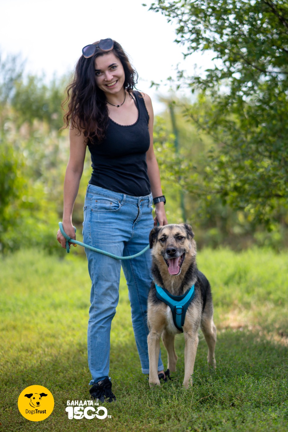 момиче разхожда голямо кафяво куче сред природа