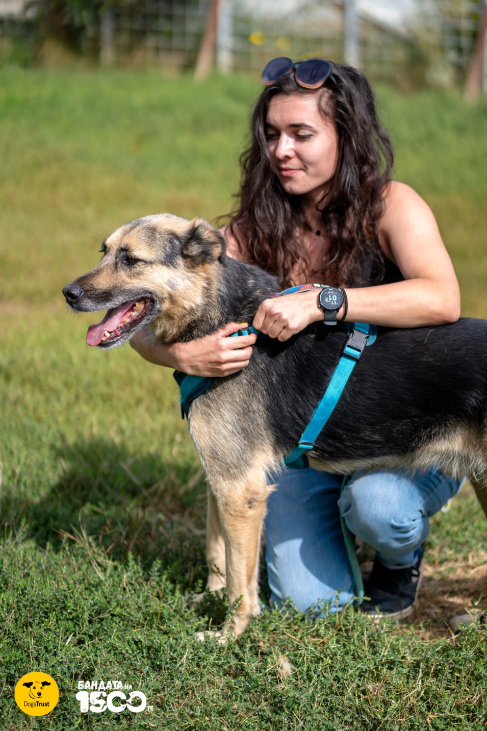 момиче гали голямо кафяво куче на поляна