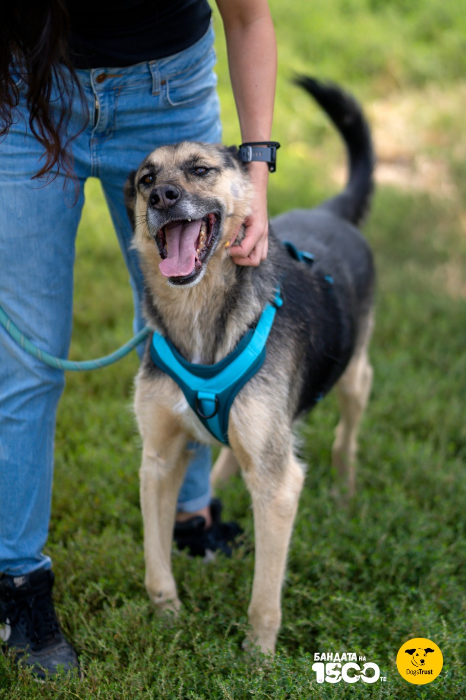 човек и куче