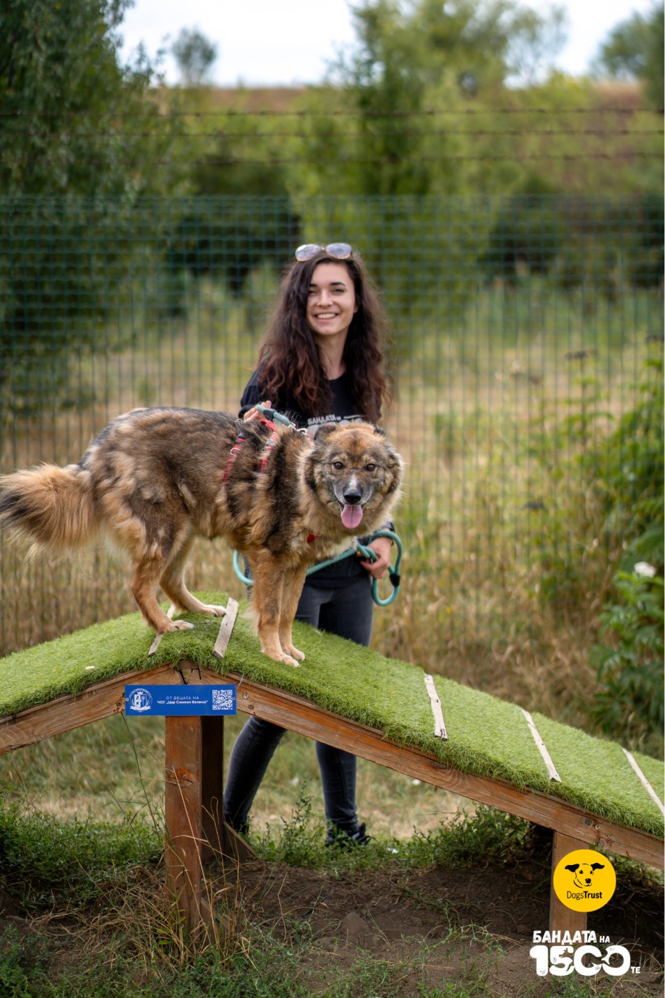 Момиче и голямо кафяво куче