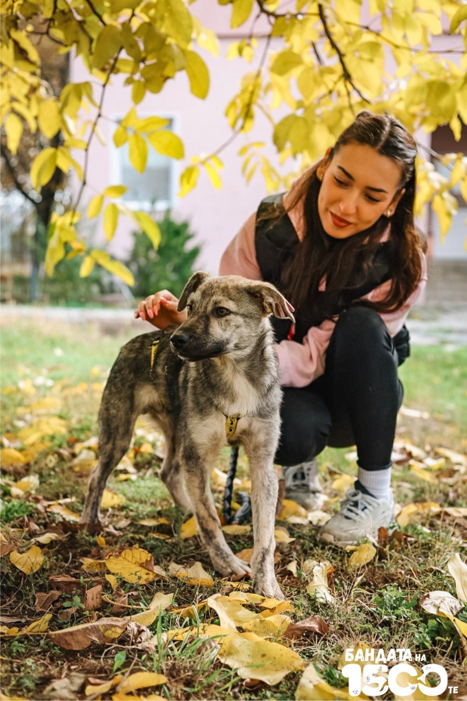 малко куче и момиче на поляна