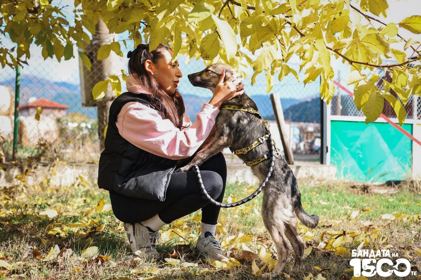 момиче и малко сиво куче