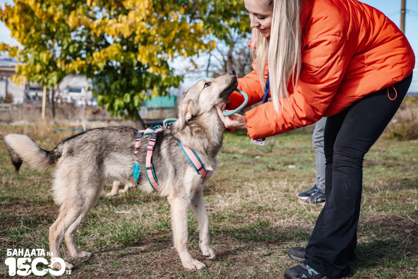 жена гали бебе куче