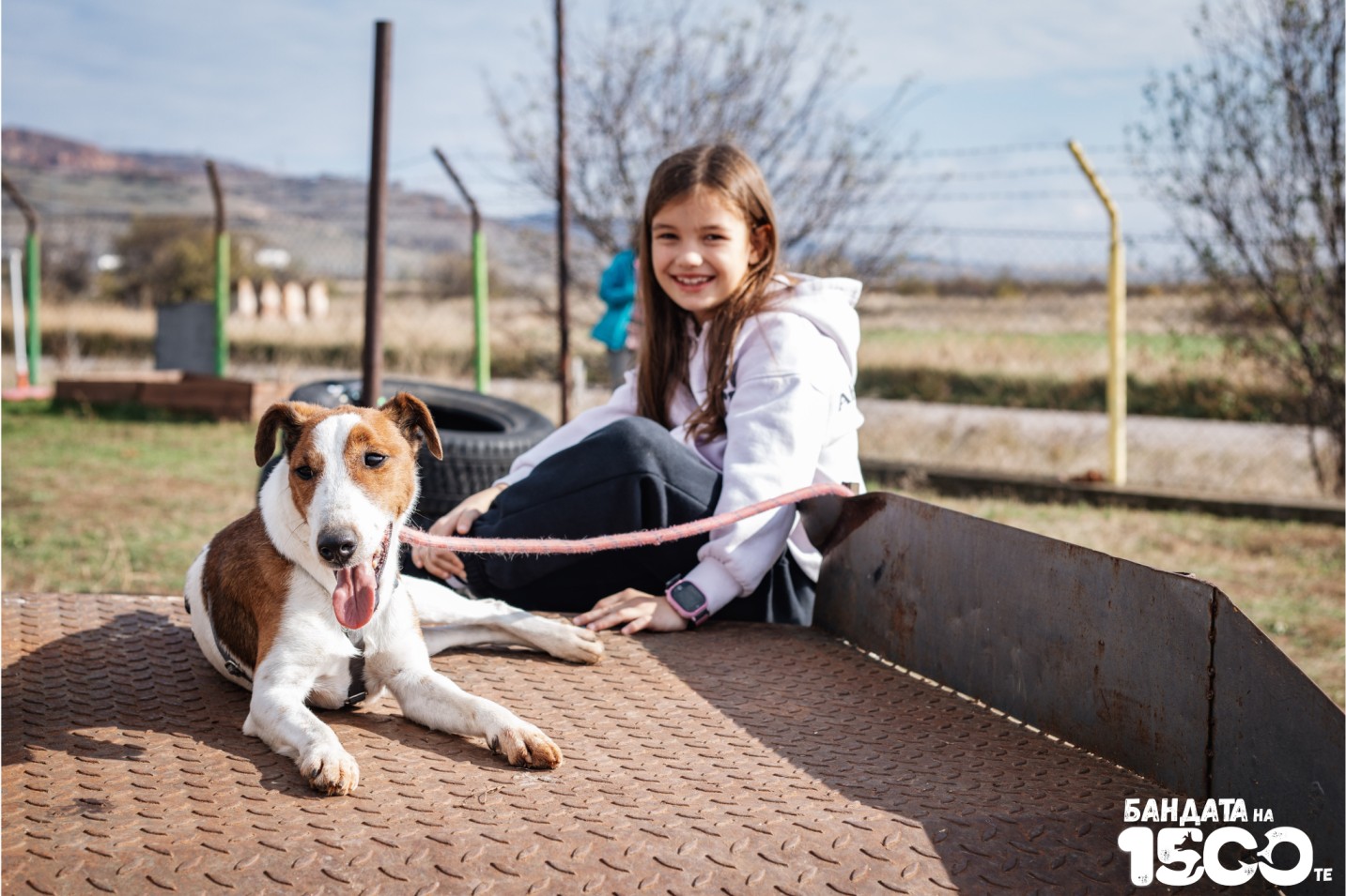 Джак Ръсел Териер