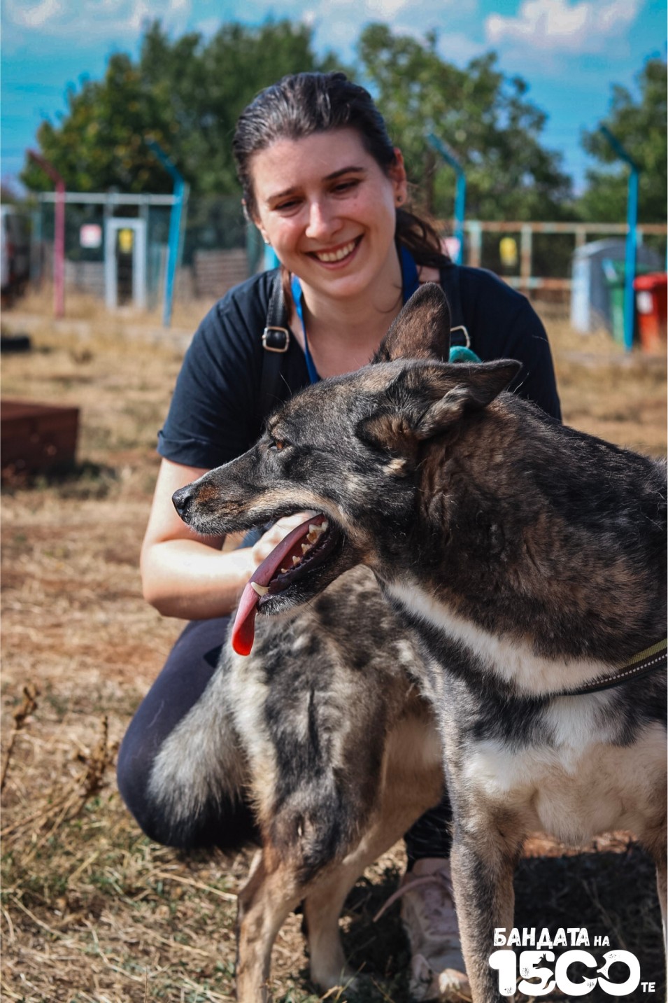 момиче разхожда голямо сиво куче