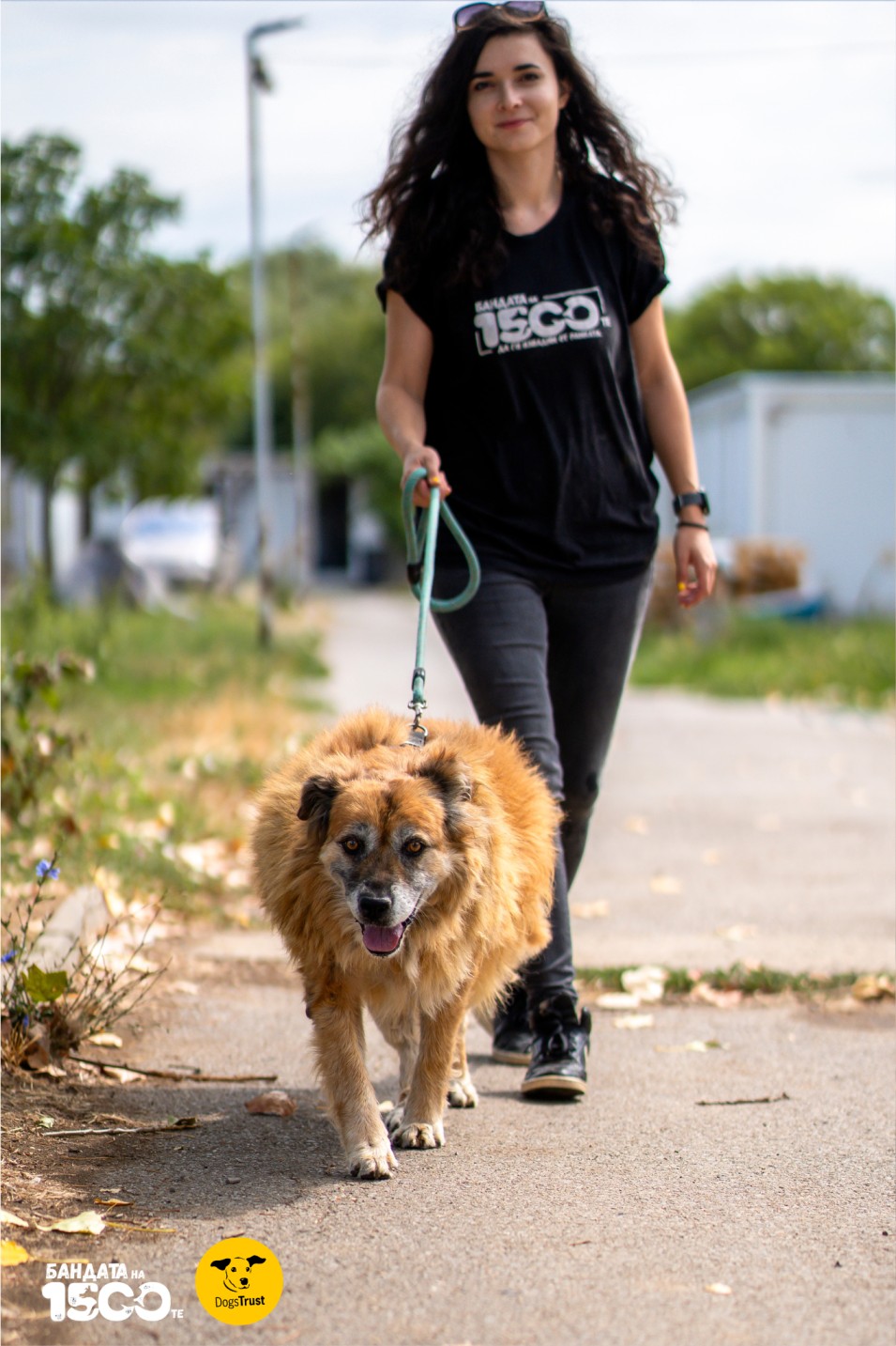 момиче разхожда голямо бежово куче