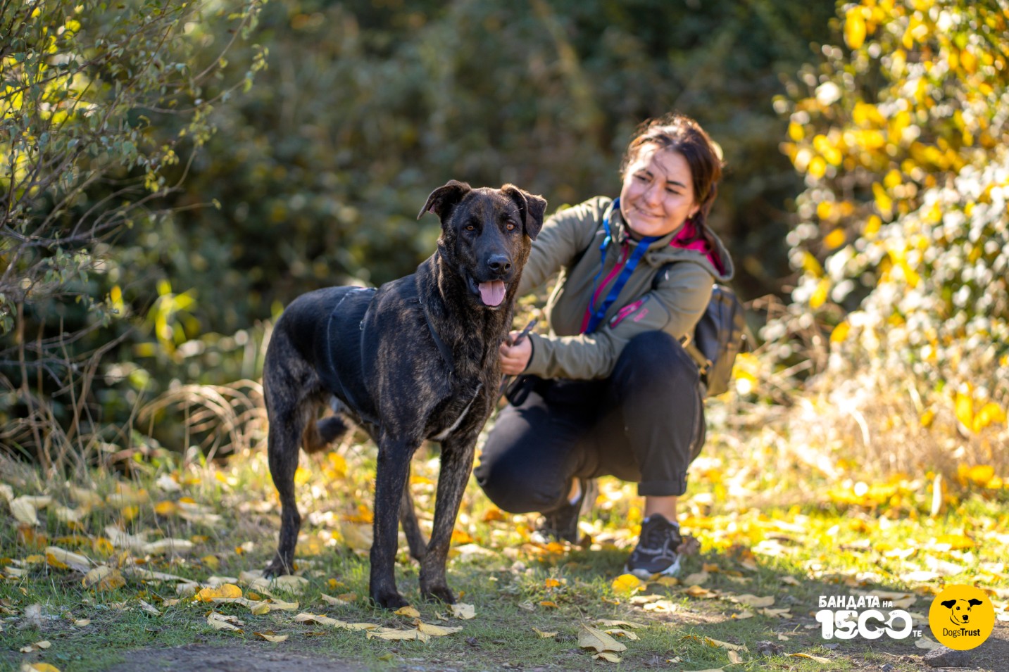 жена разхожда голямо черно куче