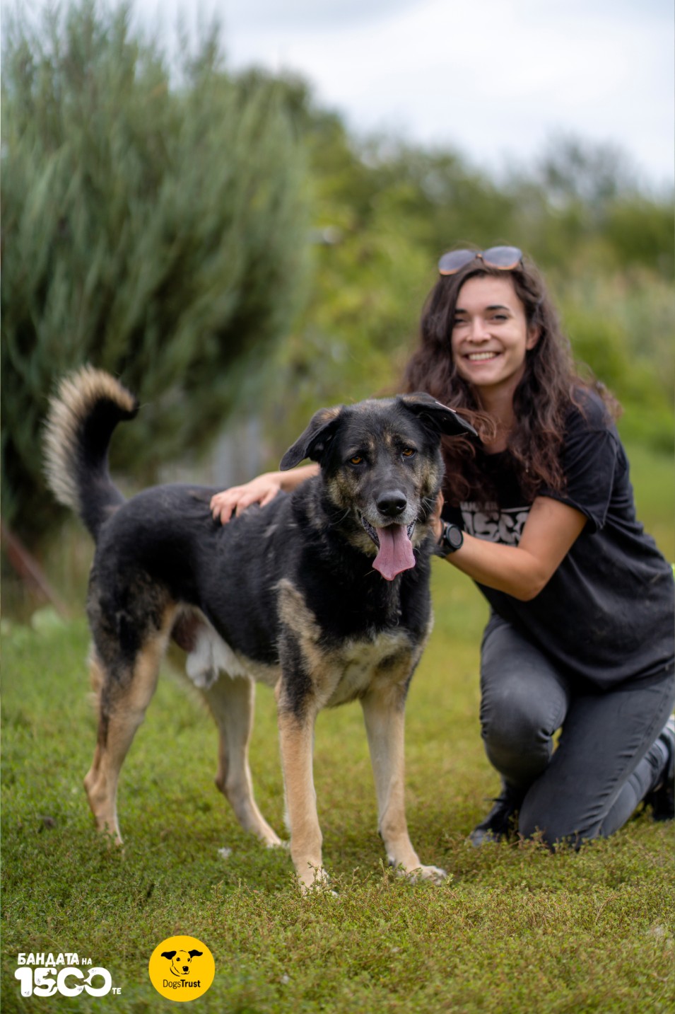 момиче гали голямо куче на поляна